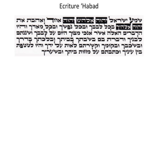 Parchemin Téfilin écriture Habad Beth Haketiva