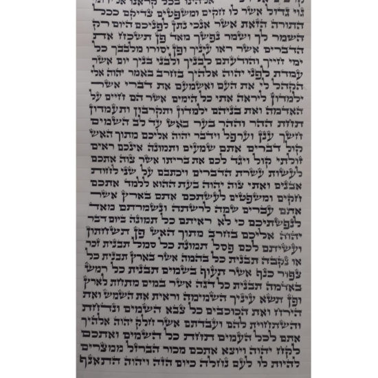 Sefer Torah - Ashkenaze