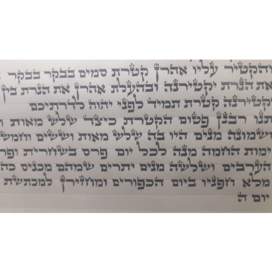 Sefer Torah - Ashkenaze
