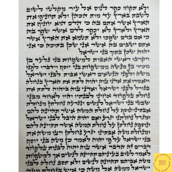 Sefer Torah ecriture Ari zal 48 cm Beth Haketiva Sofer Marseille