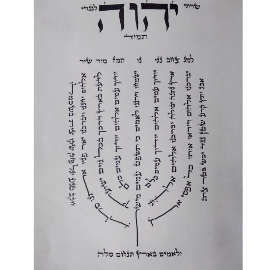 Ketoret mehouderet Rav Lasry avec étui