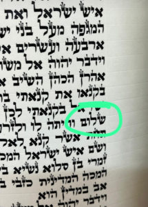 Mot shalom parasha Pinhas