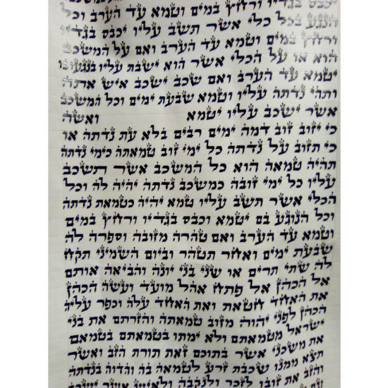 Sefer Torah 26000 autre plan
