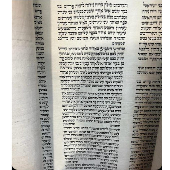 Sefer Torah Ashkenaze 17000E 3
