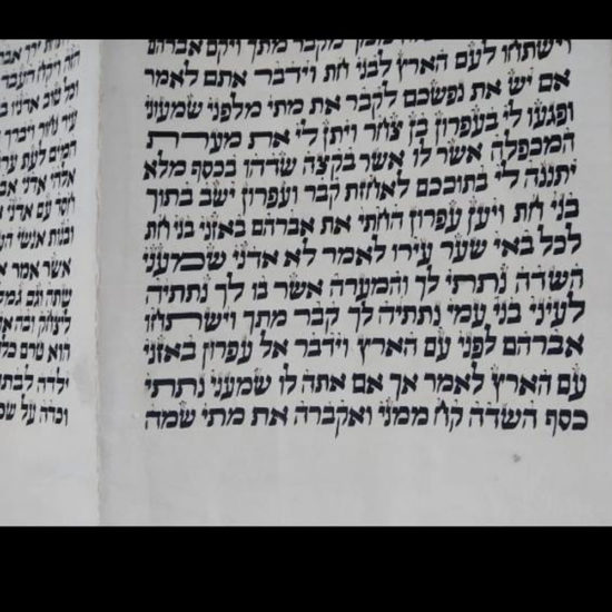 Sefer Torah Sefarade 17000E 3