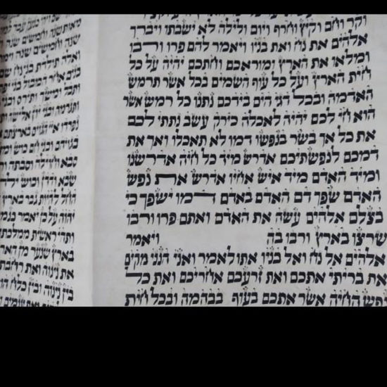 Sefer Torah Sefarade 17000E 4
