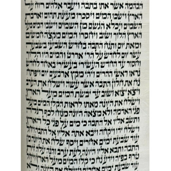 Sefer Torah Seferade 14000 1