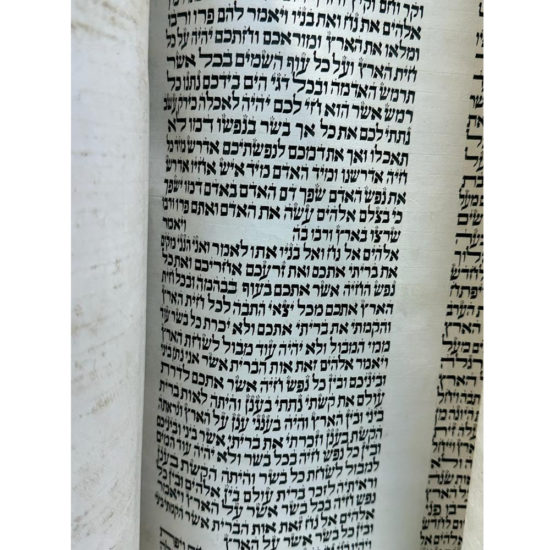 Sefer Torah Seferade 14000 2