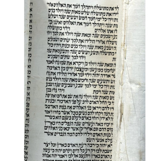 Sefer Torah Seferade 14000 4