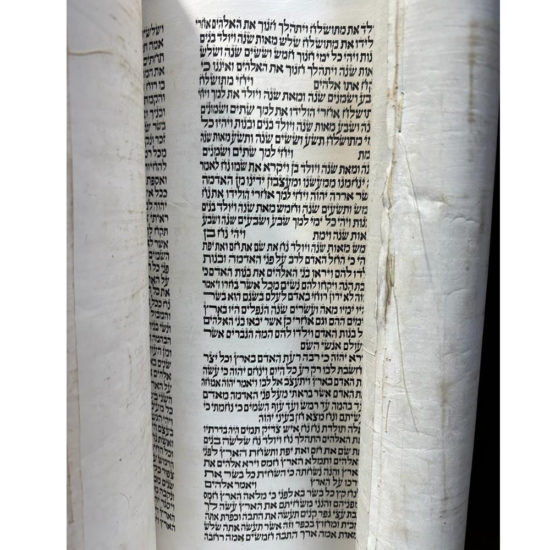 Sefer Torah Seferade 14000 5