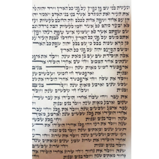 Sefer Torah Ashkénaze Yad Shnia