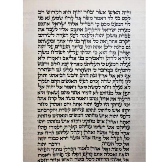 Sefer Torah Mehoudar 38000E