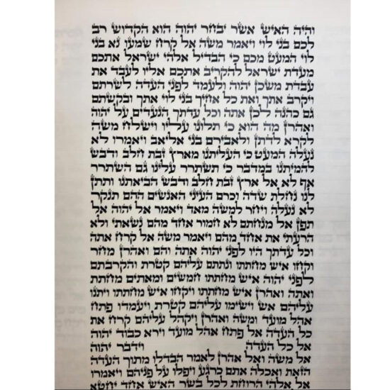 Sefer Torah Mehoudar